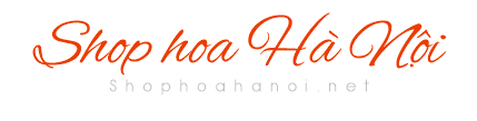 Shop hoa tươi đẹp, Dịch vụ hoa tươi, đặt hoa online, điện thoại